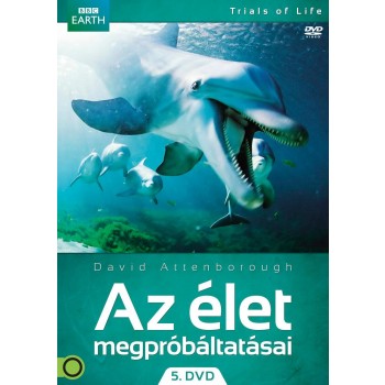 AZ ÉLET MEGPRÓBÁLTATÁSAI 5. - DVD - (2013)