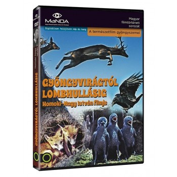 GYÖNGYVIRÁGTÓL LOMBHULLÁSIG - DVD - (2013)